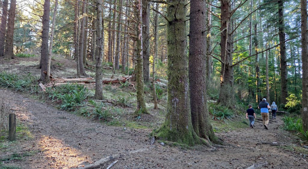 Neahkahnie mountain forest hiking paths family