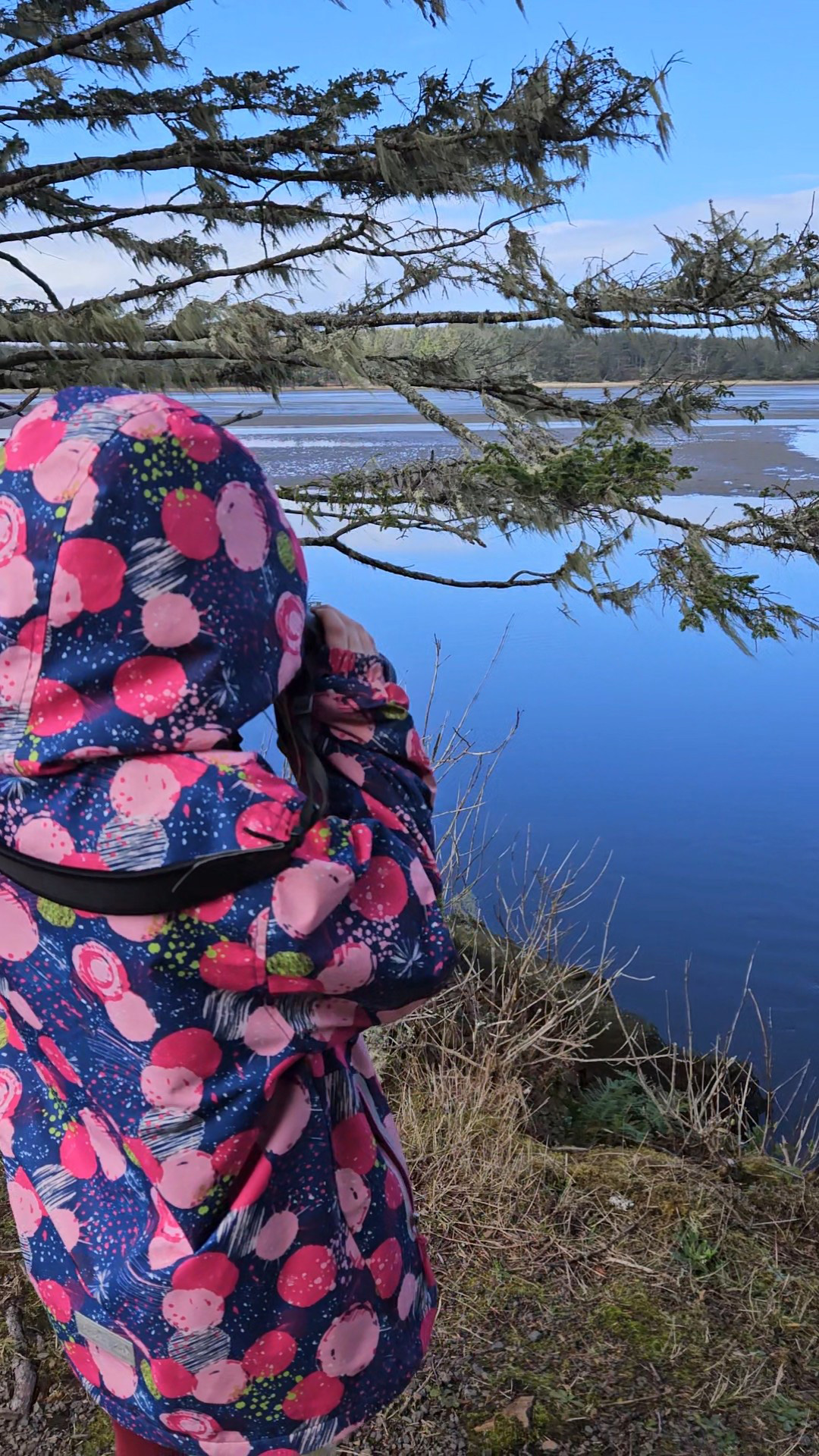 Sitka Sedge water view tree branch binoculars child