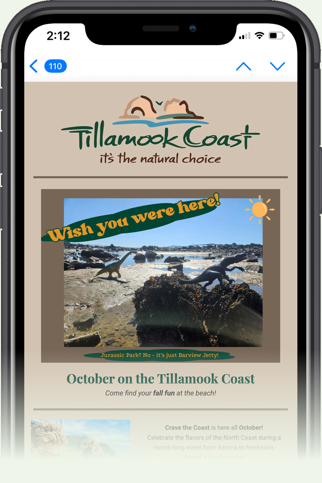 TMK phone consumer newsletter faded 2025