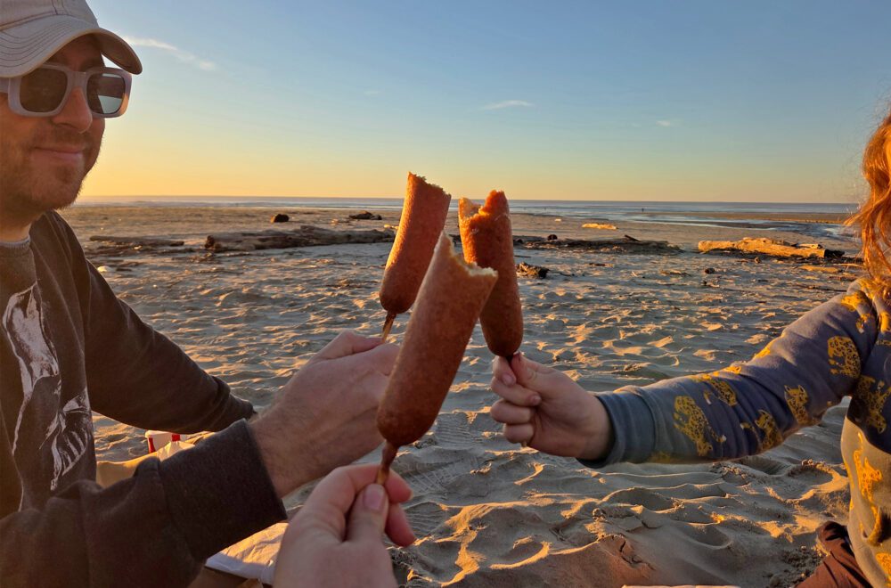 beach sunset family pronto pup