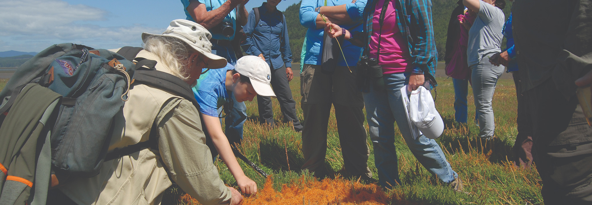 explore nature fieldtrip vegatation