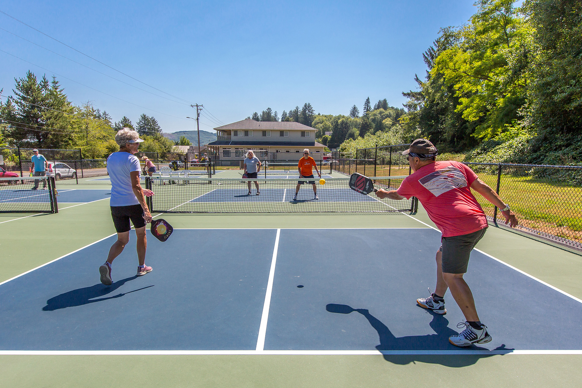 pickleball court summer trees