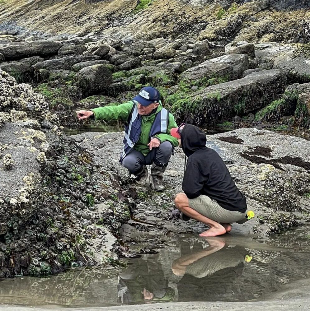 tidepools rocky shore people teaching