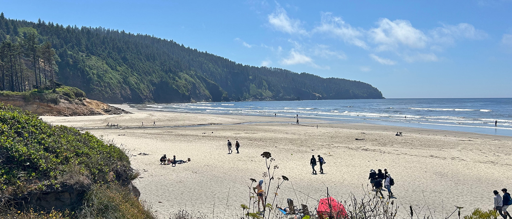Cape Lookout State Park beach forest cliffs people ocean