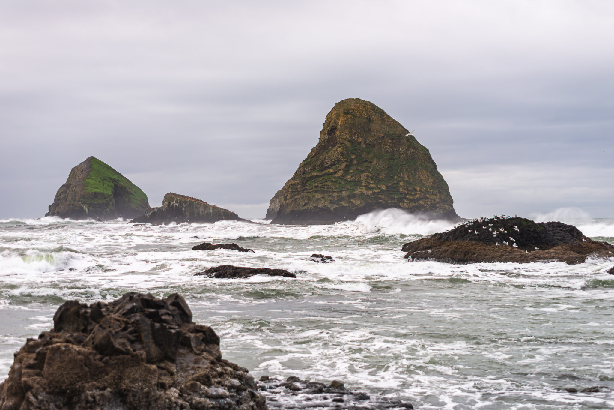 King Tide Waves Short Beach Tillamook Coast Oregon