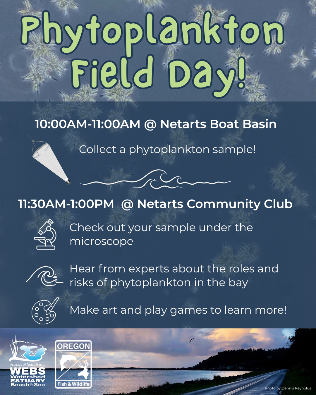 Phytoplankton Digital Gaphic 33YgZn