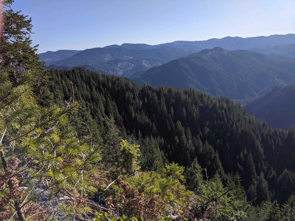 Tillamook State Forest Tillamook Coast