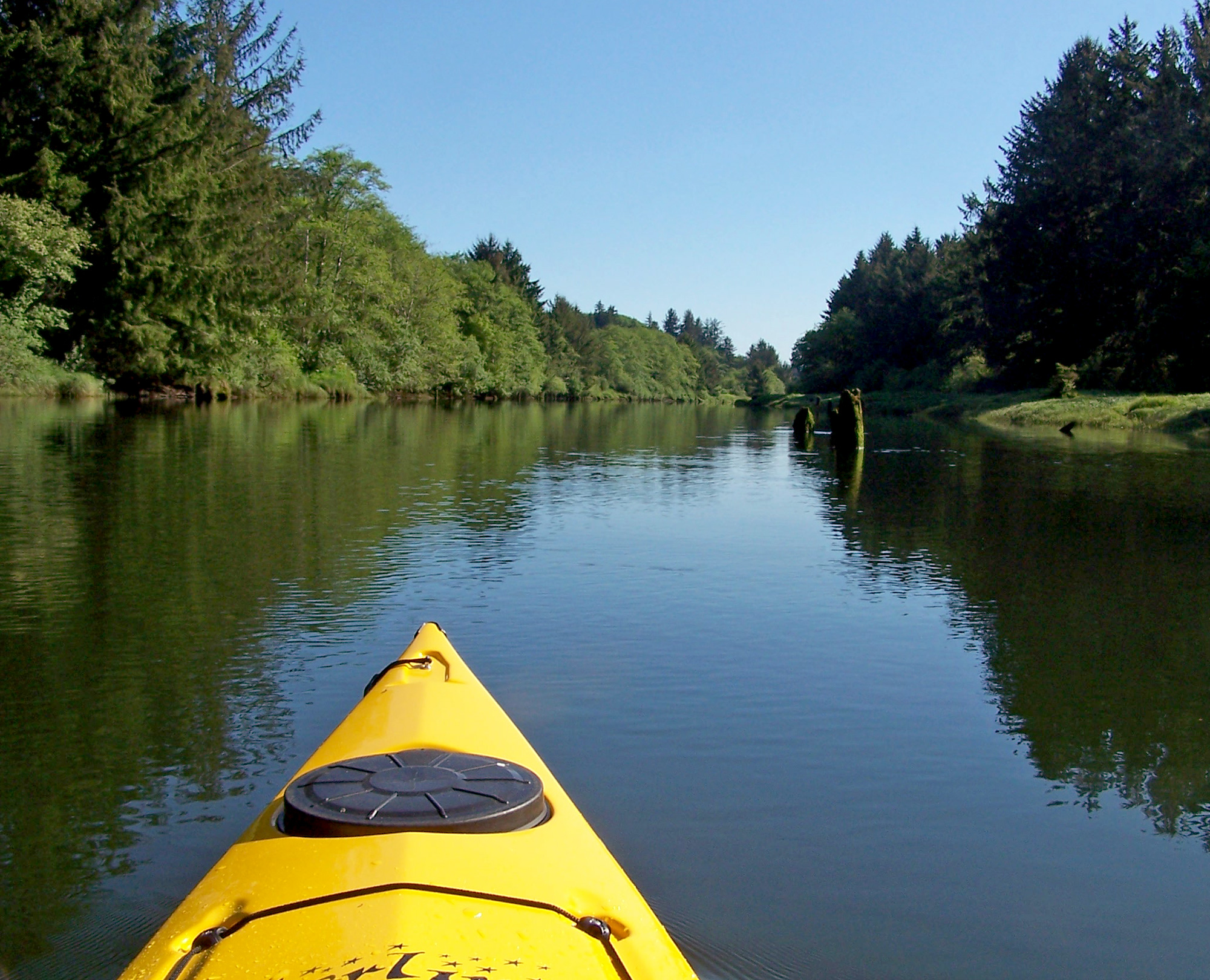 kayak river forest view