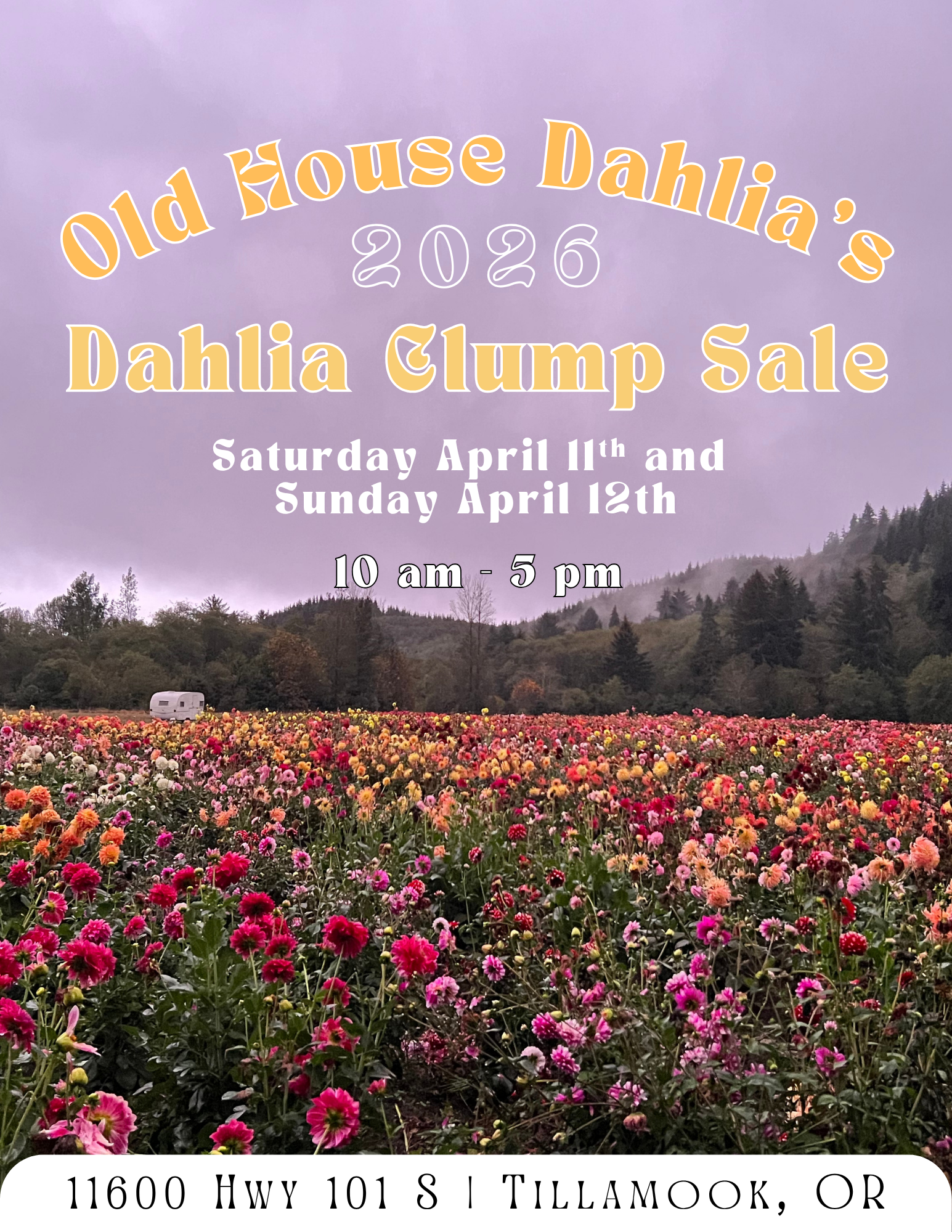 2024 Dahlia Festival 1 hY8poS