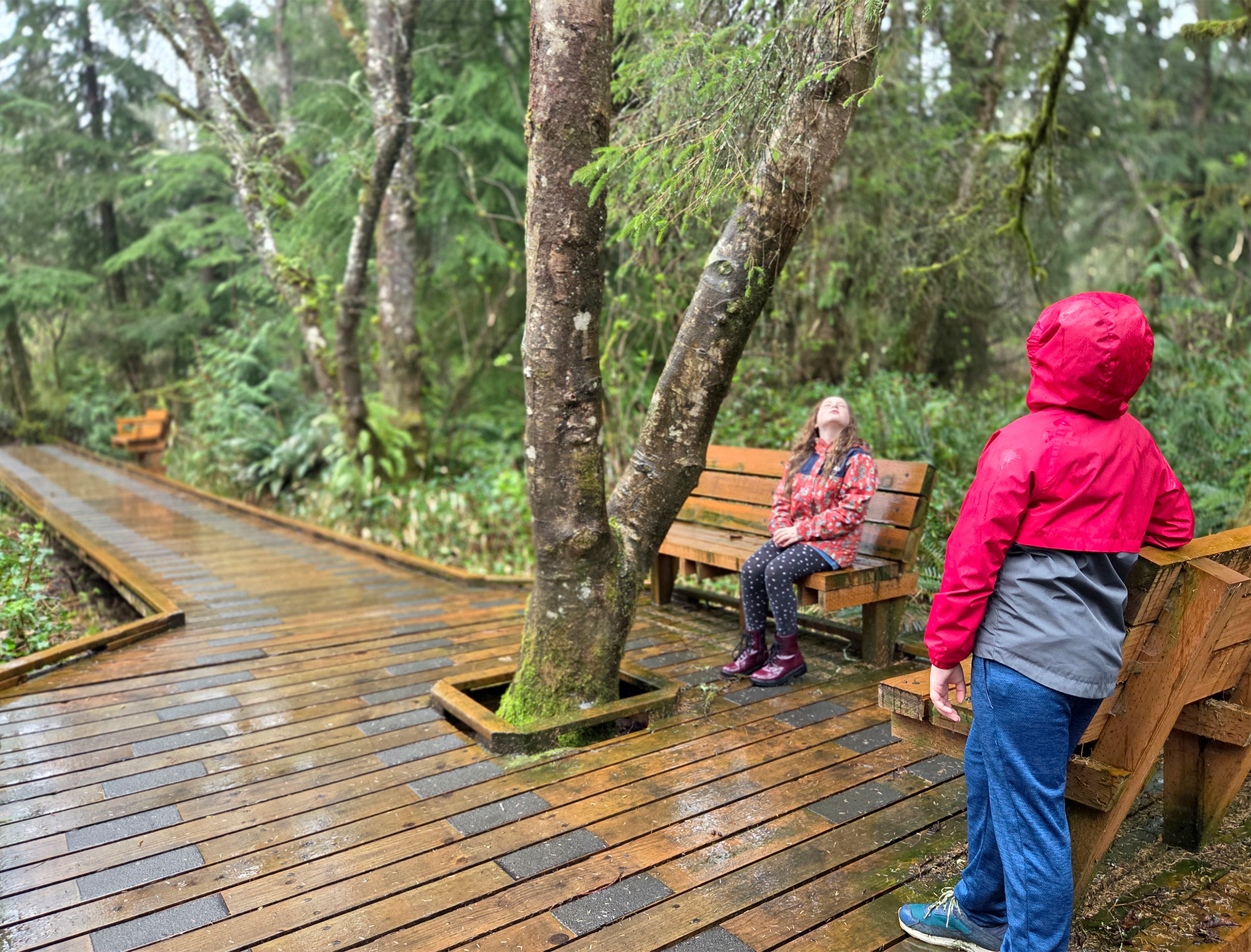 Kilchis Point Reserve Trail boardwalk benches