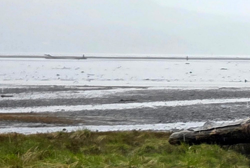 Kilchis Trail Tillamook Bay