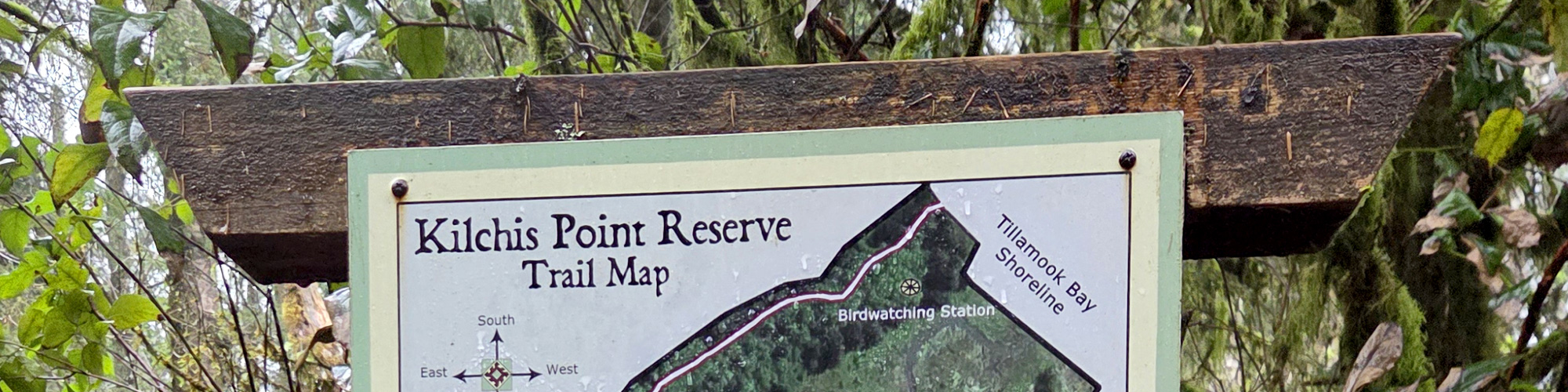 banner hiking Kilchis Point Reserve