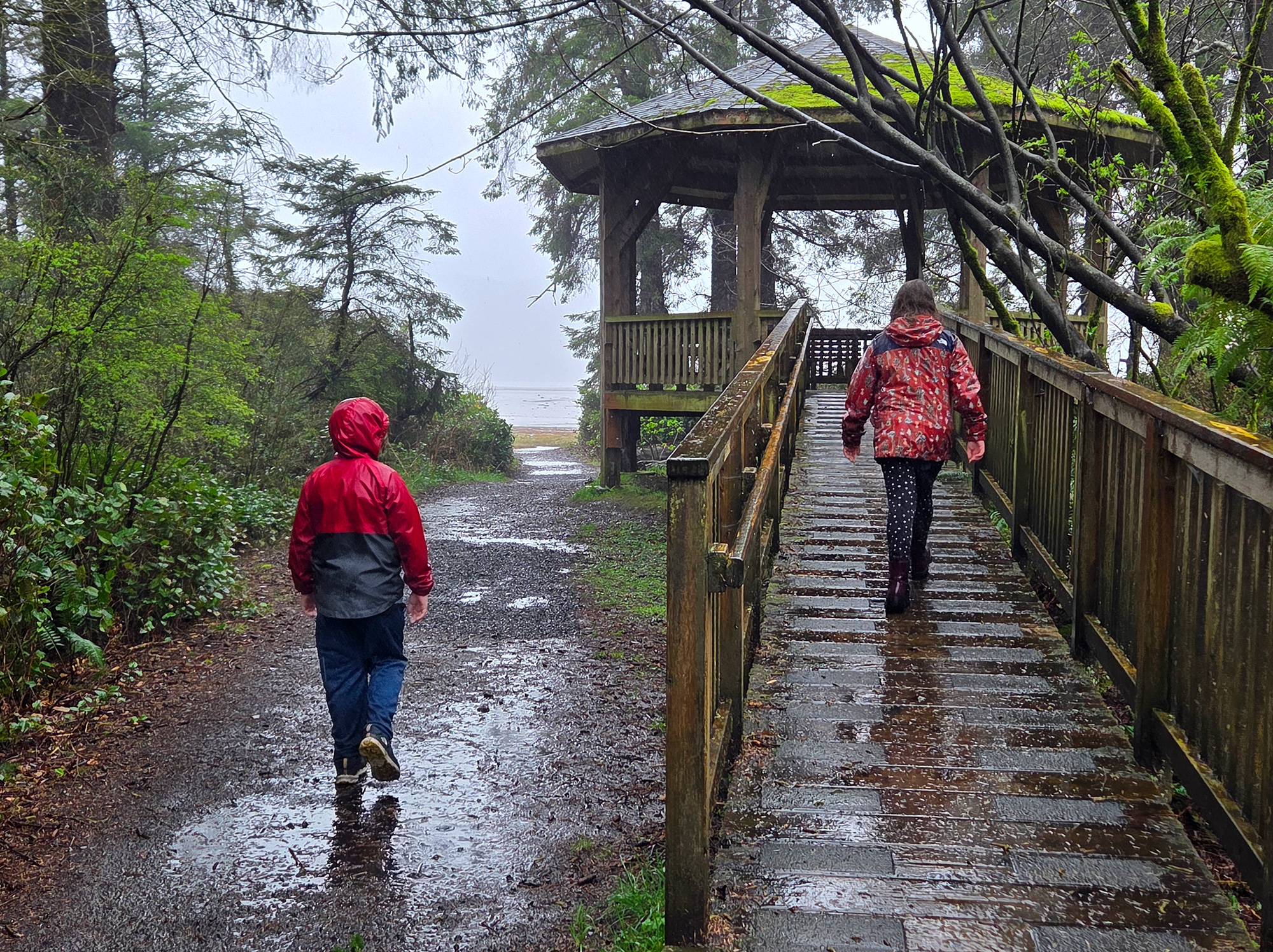 kids rain Bird Blind Kilchis Point Reserve Trail